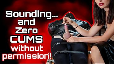 Cock Sounding & Orgasm Denial: Zero Cums