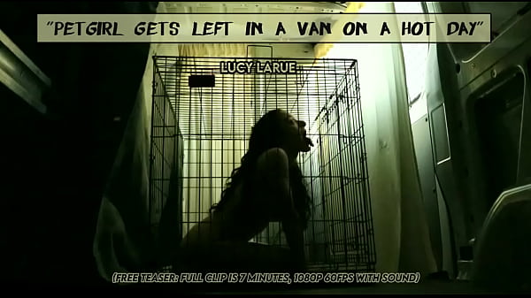 Petgirl Gets Left In A Van On A Hot Day